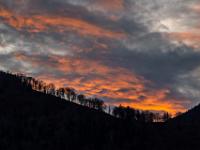 Baumsilhouetten am Bergkamm mit rotglühenden Wolken dahinter